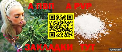 гашик Аргун