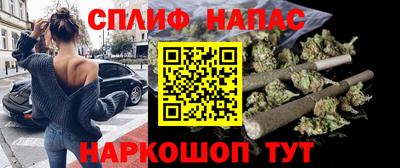 гашик Аргун