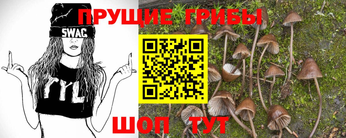 Псилоцибиновые грибы Magic Shrooms  Псилоцибиновые грибы Cubensis  Вход с VPN  Вышний Волочёк 